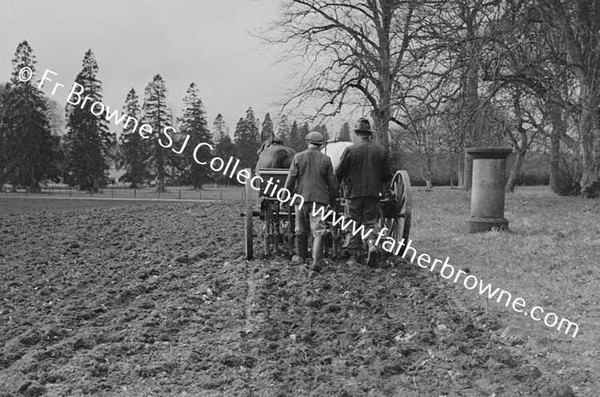 SOWING OATS BY MACHINE DAIRY HILL